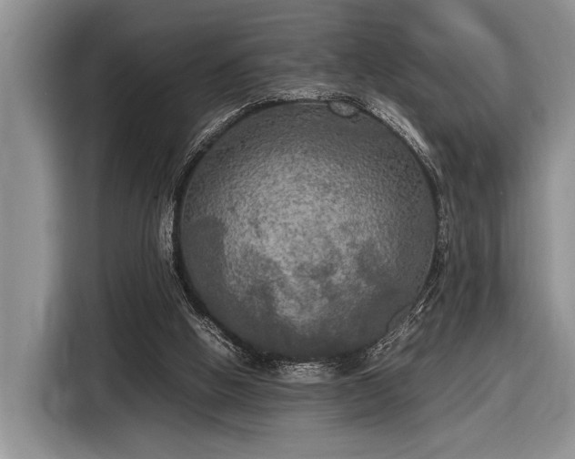 X0000116580058200912171532