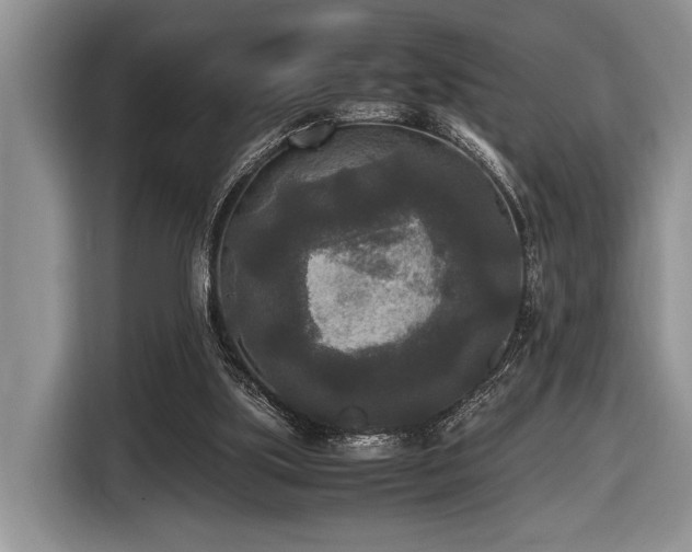 X0000116580059200912171532