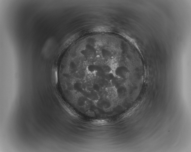 X0000116580061200912171532