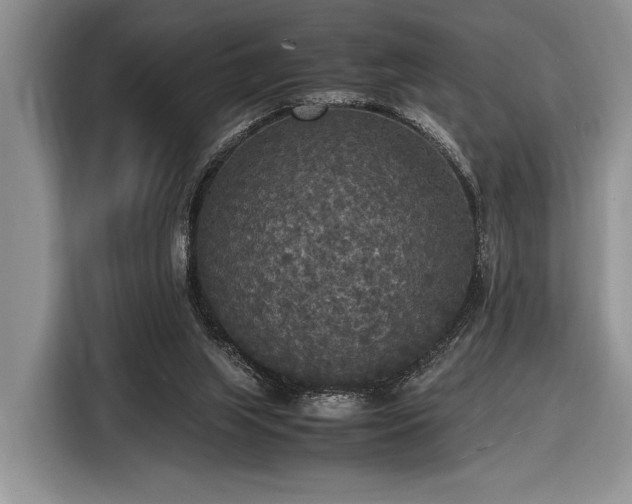 X0000116580063200912171532