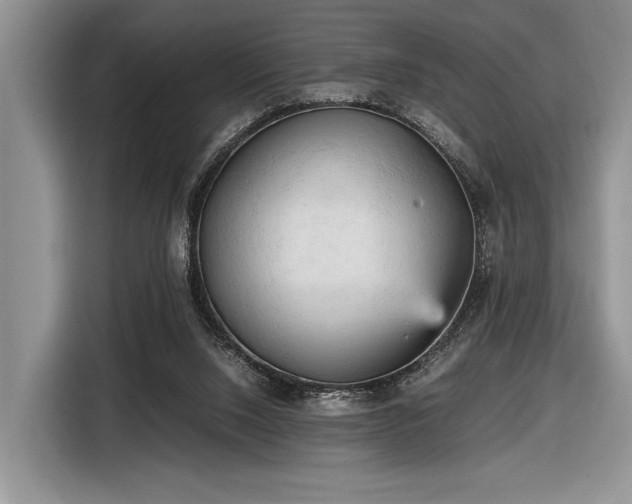 X0000116580064200912171532