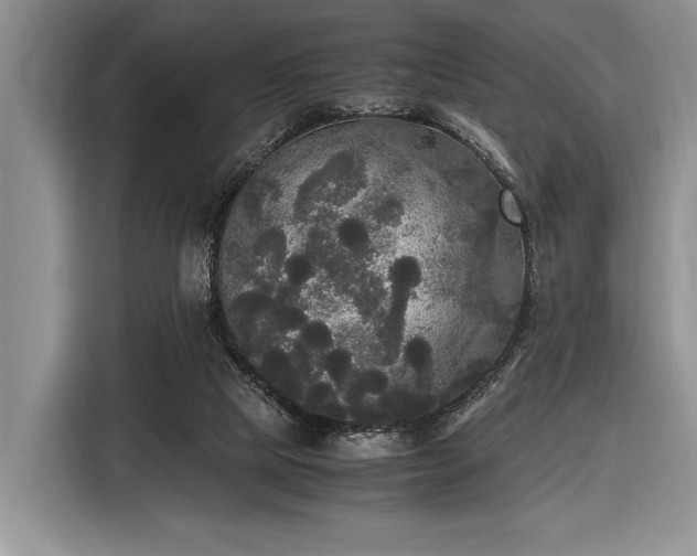 X0000116580065200912171532