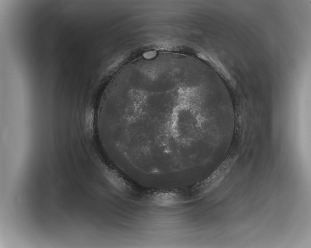 X0000116580066200912171532