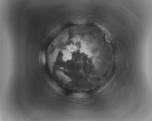 X0000116580069200912171532