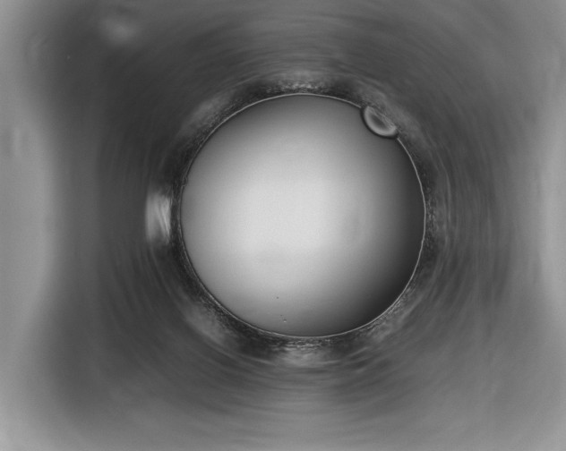 X0000116580070200912171532