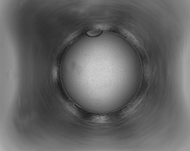 X0000116580071200912171532