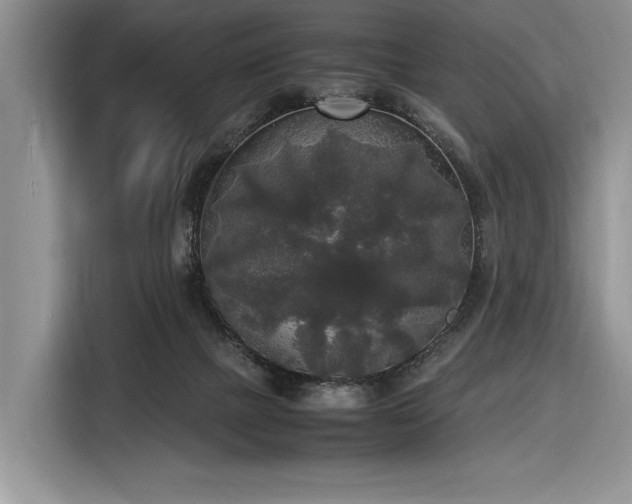 X0000116580073200912171532