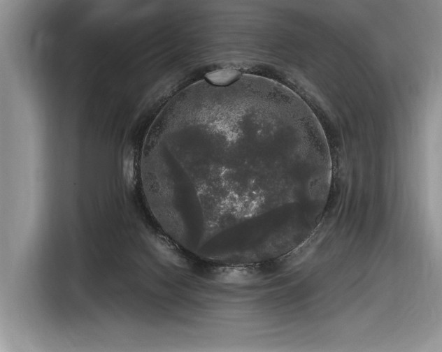 X0000116580074200912171532