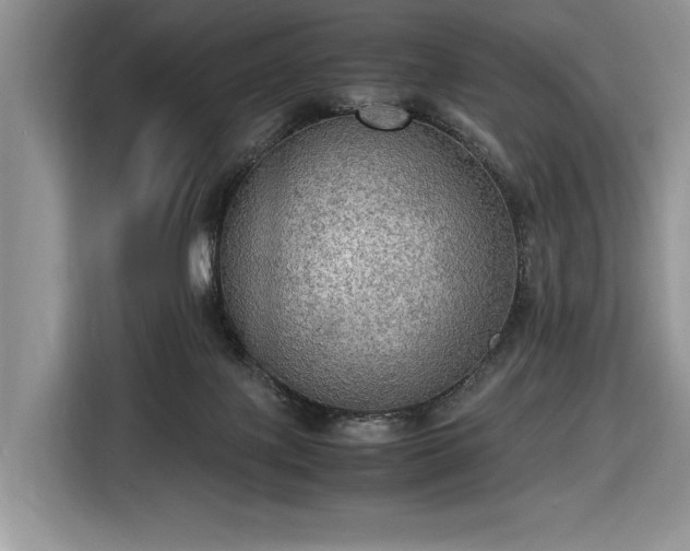 X0000116580075200912171532