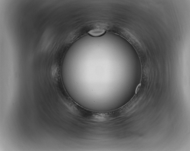 X0000116580079200912171532