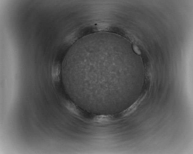 X0000116580082200912171532