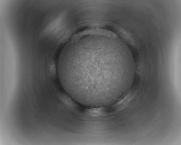 X0000116580086200912171532