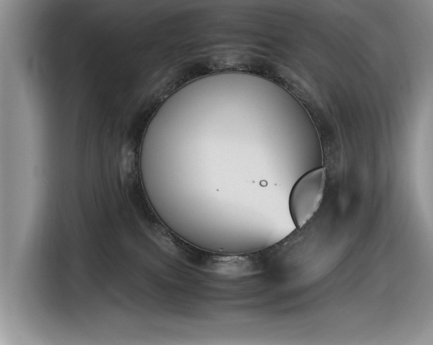 X0000116580087200912171532