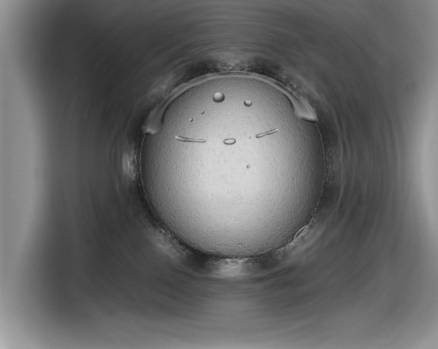 X0000116580090200912171532