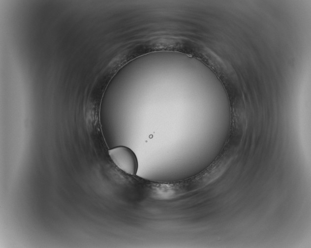 X0000116580091200912171532