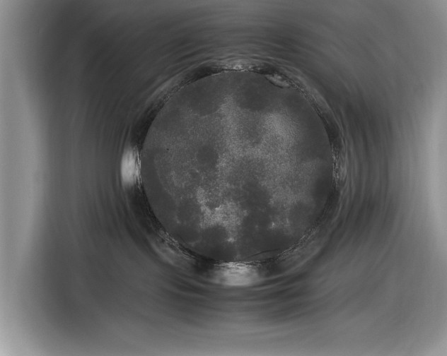 X0000116580095200912171532