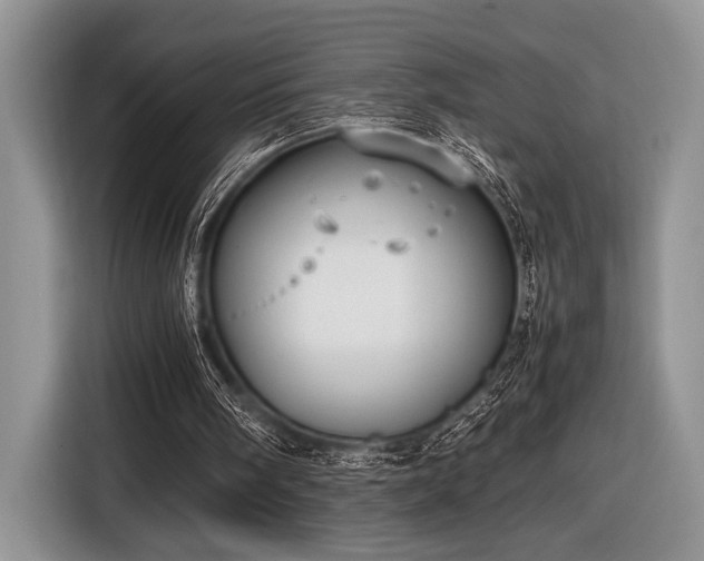 X0000116580098200912171532