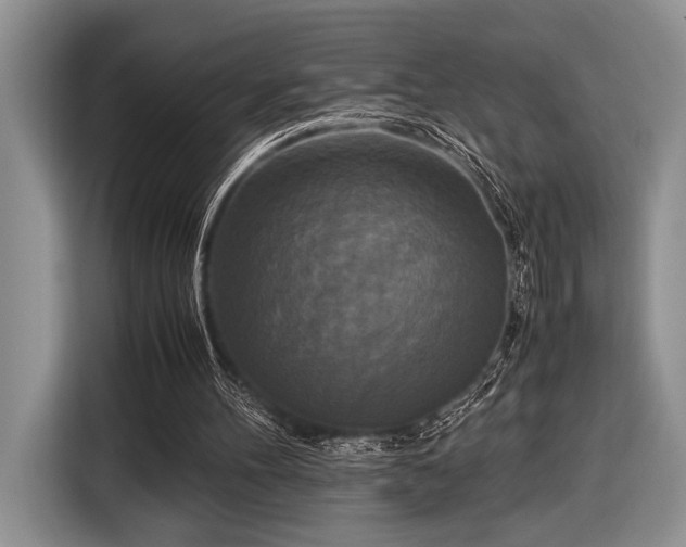 X0000116580100200912171532