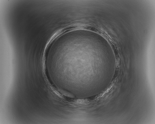 X0000116580101200912171532