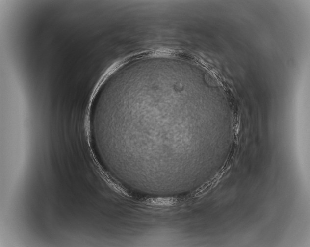 X0000116580102200912171532