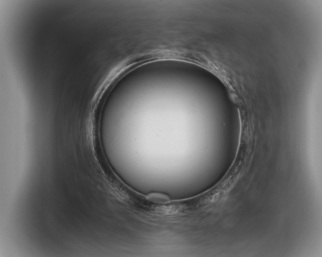 X0000116580103200912171532