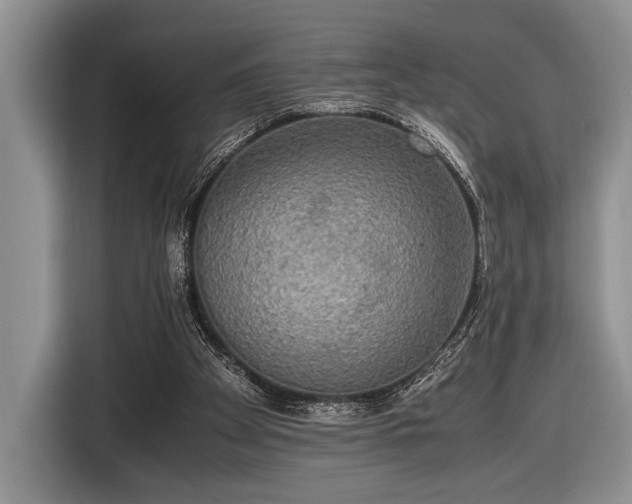 X0000116580105200912171532