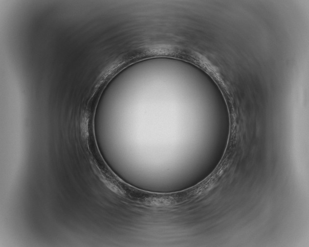 X0000116580106200912171532