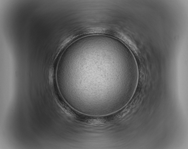 X0000116580107200912171532