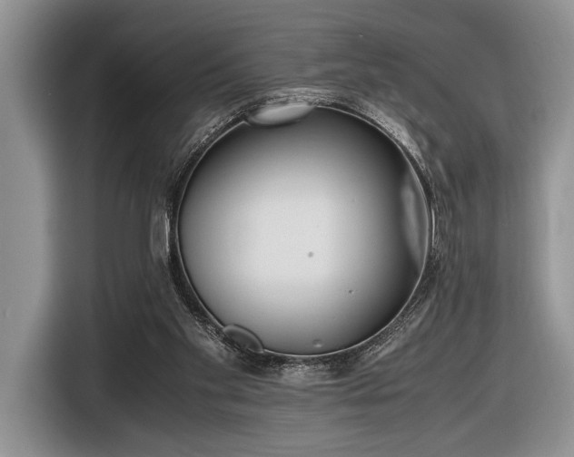 X0000116580109200912171532