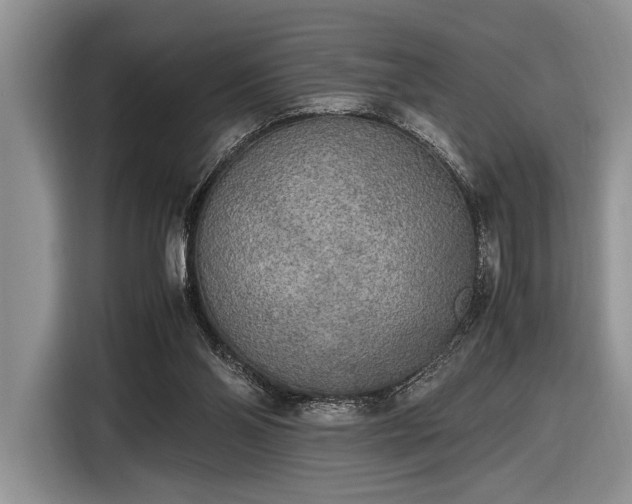 X0000116580110200912171532