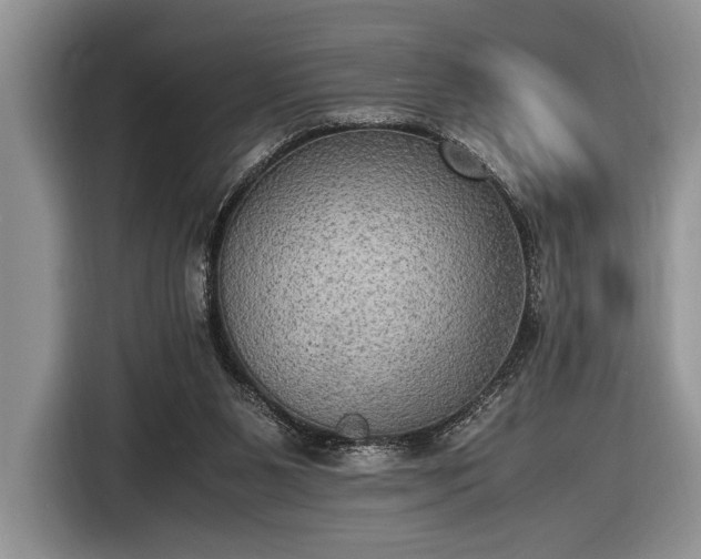 X0000116580111200912171532