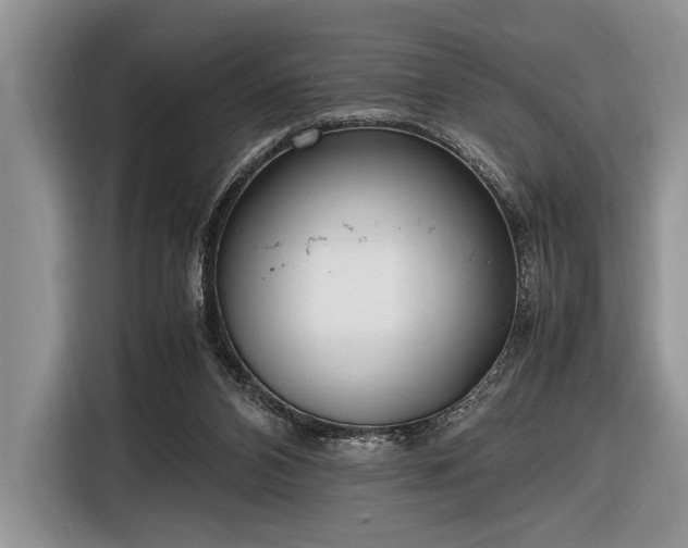 X0000116580112200912171531