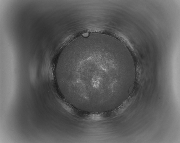 X0000116580114200912171531