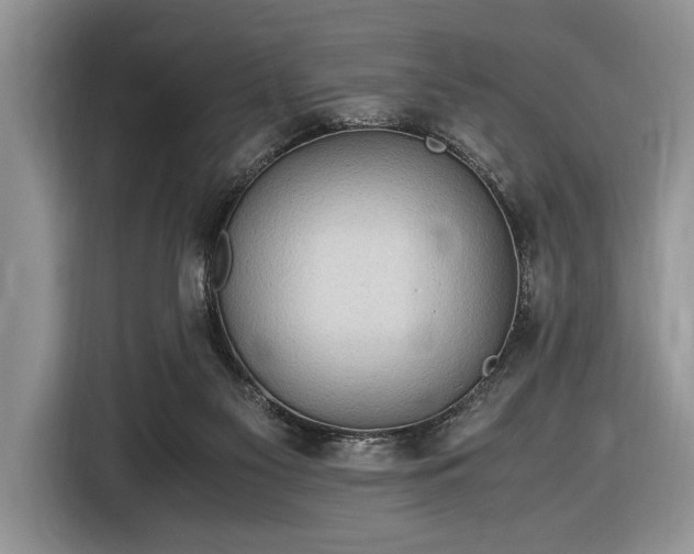 X0000116580117200912171531