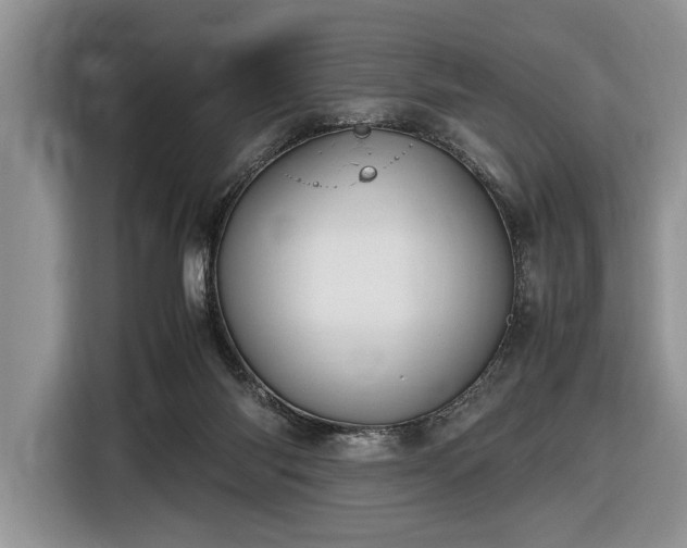 X0000116580118200912171531