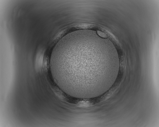 X0000116580119200912171531