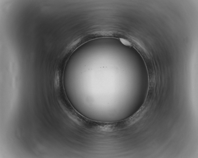 X0000116580120200912171531