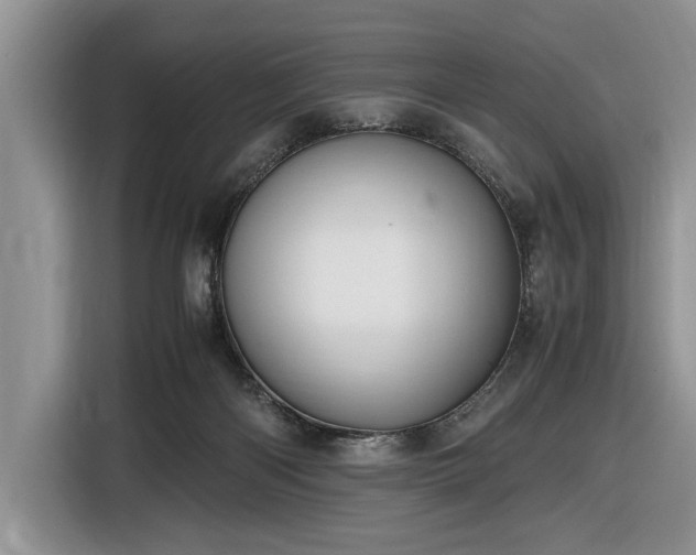 X0000116580122200912171531