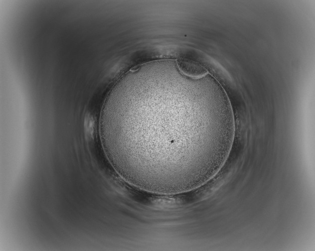 X0000116580123200912171531