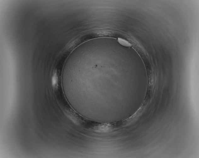 X0000116580124200912171531