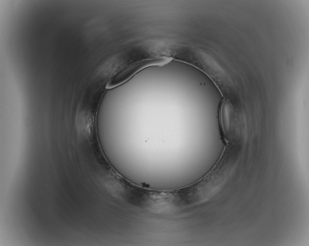 X0000116580125200912171531