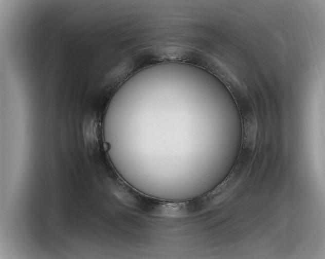 X0000116580126200912171531