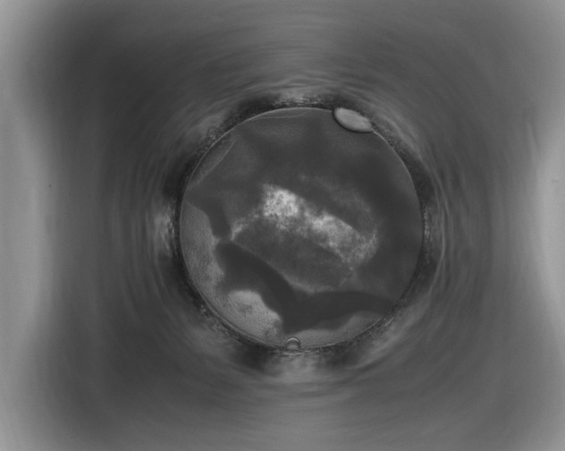 X0000116580127200912171531