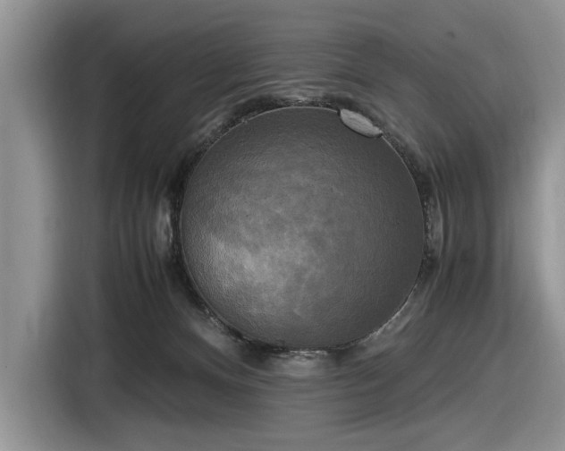 X0000116580128200912171531