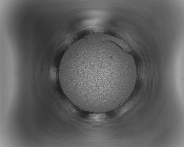 X0000116580135200912171531