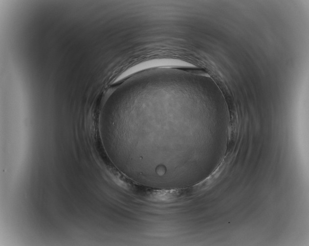 X0000116580136200912171531