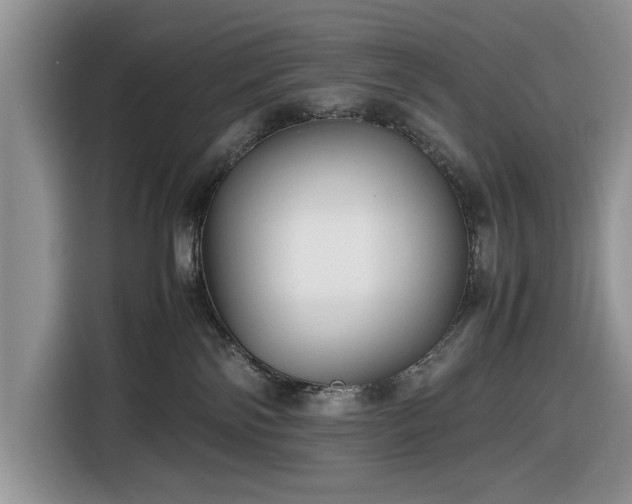 X0000116580138200912171531