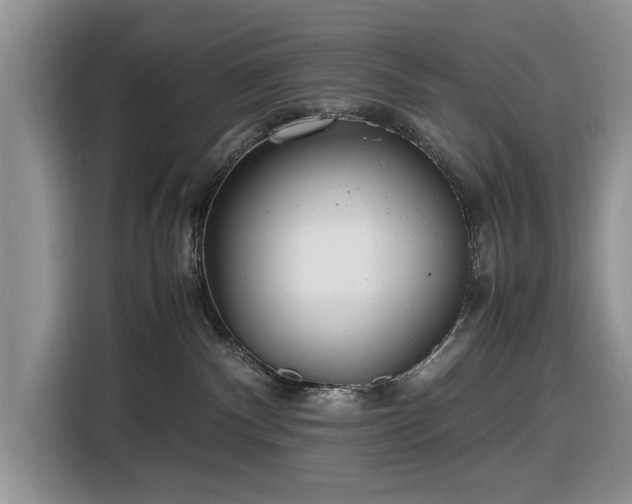 X0000116580140200912171531