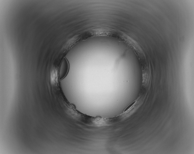 X0000116580142200912171531