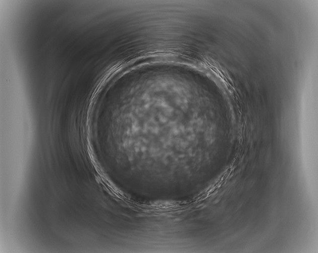 X0000116580145200912171530